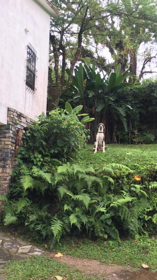 Casa Camino A Las Pozas Хилитла Экстерьер фото